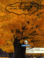 444877.gif