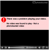 Bild 3.png