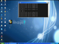 Untitled-2.gif