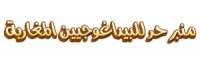AlauddinRS_logo.png.png